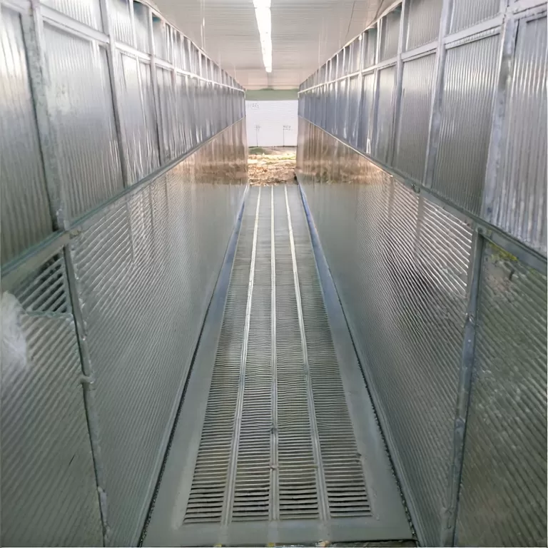 Benefits of Cast Iron Flooring in Swine Farms