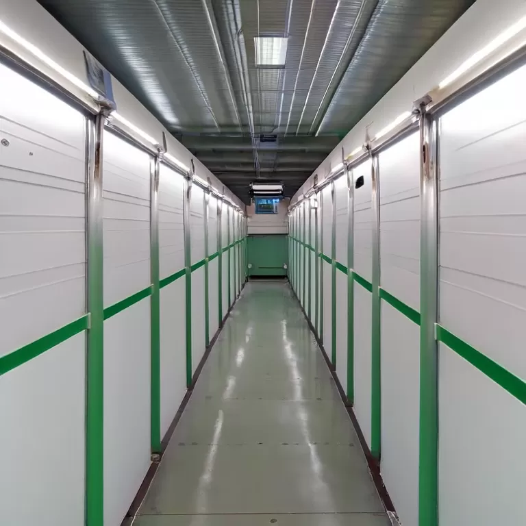 How Modern Pig Houses Reduce Labour & Disease Risk with PVC Sheeting