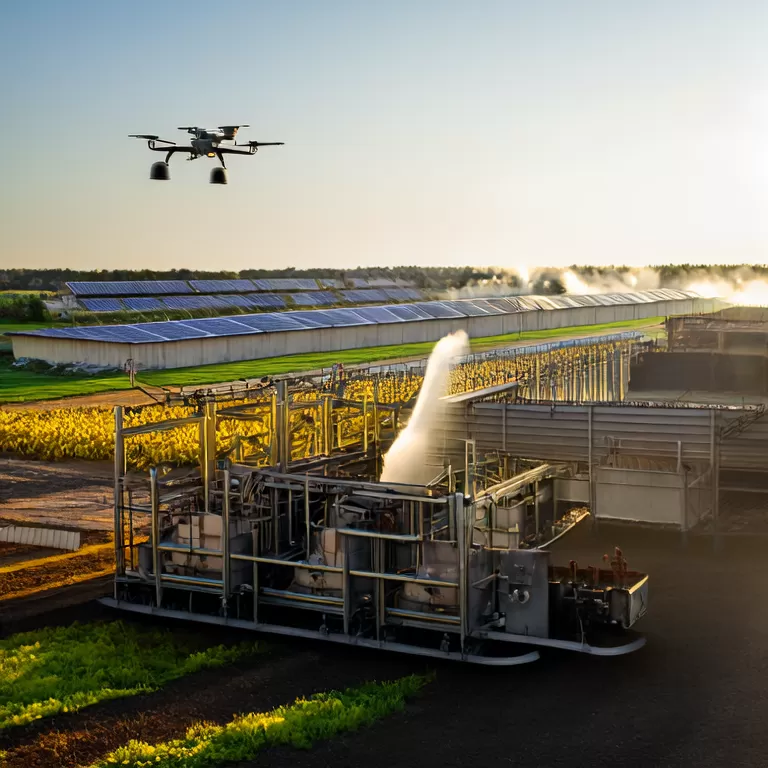Benefits of Poultry Manure Drying in Modern Layer Farms
