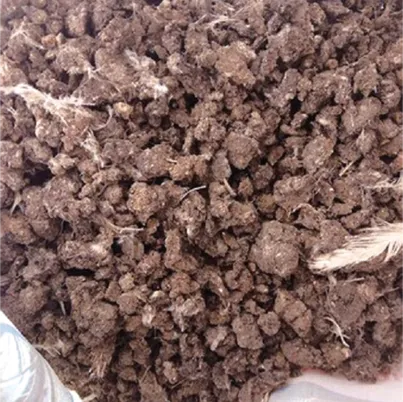 Customized Poultry Manure Drying Systems for Different Farm Capacities
