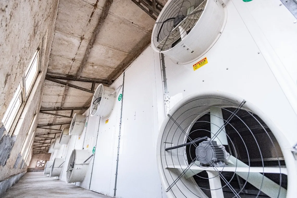 Turnkey Poultry Waste Management System: From Collection to Drying
