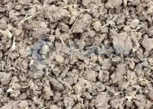 What Are the Benefits of Using a Chicken Manure Drying System?