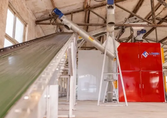 Belt Dryer vs Rotary Drum Dryer for Poultry Manure